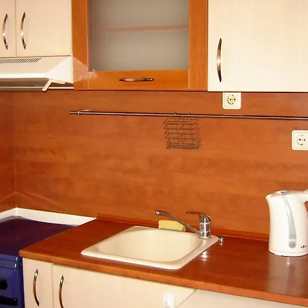 Apartment Vinitsa Warna